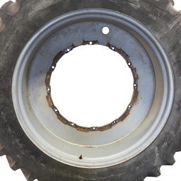 12"W x 46"D Stub Disc Agriculture & Forestry Wheels WT007154